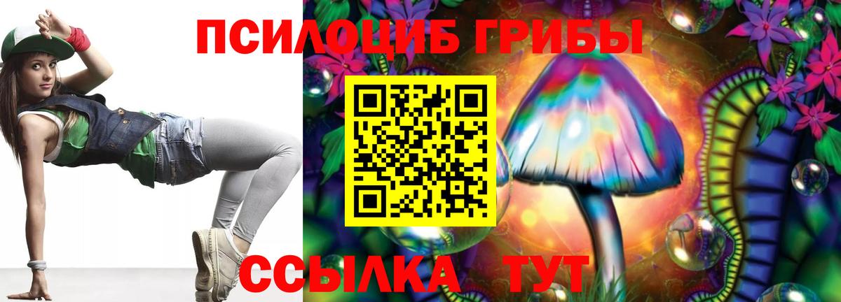 Урус-Мартан  Псилоцибиновые грибы прущие грибы  Вход с VPN  Галлюциногенные грибы Psilocybine cubensis 